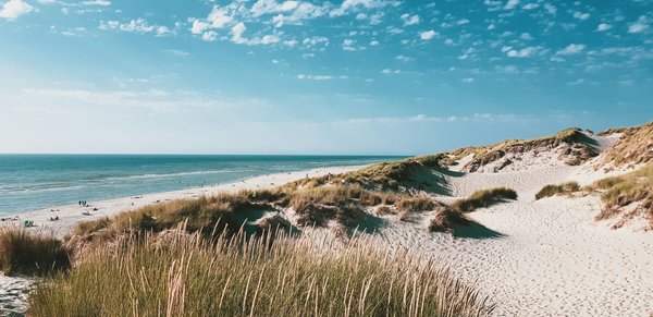 Comment choisir une tente adaptée aux conditions de vent fort en bord de mer?